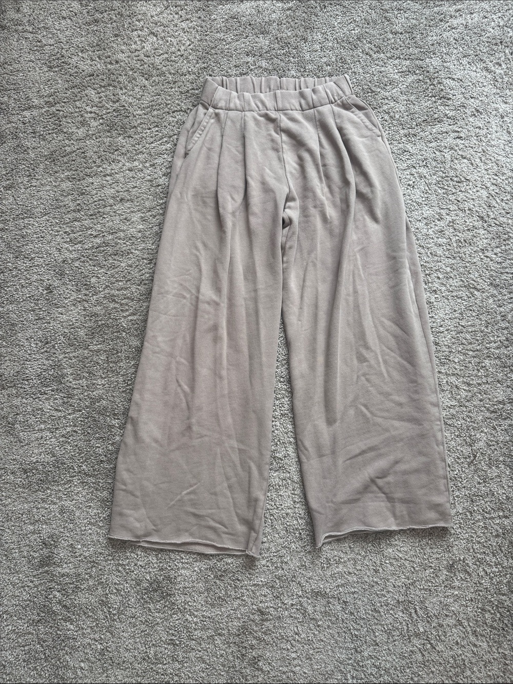 aerie Men’s Wide-Leg Elastic Waist Pants - Light Taupe
